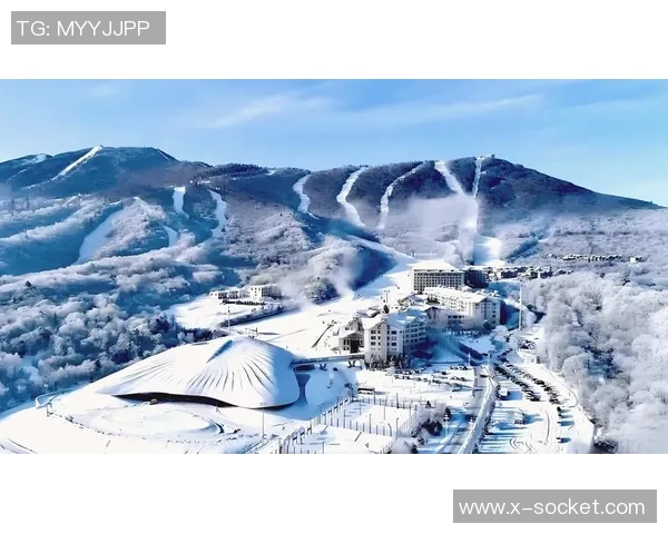 冰雪赛场环境应对策略与技术创新探讨及其对运动员表现的影响分析